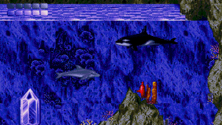 Ecco egy orka közelében úszik Ecco the Dolphinban