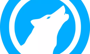 LibreWolf