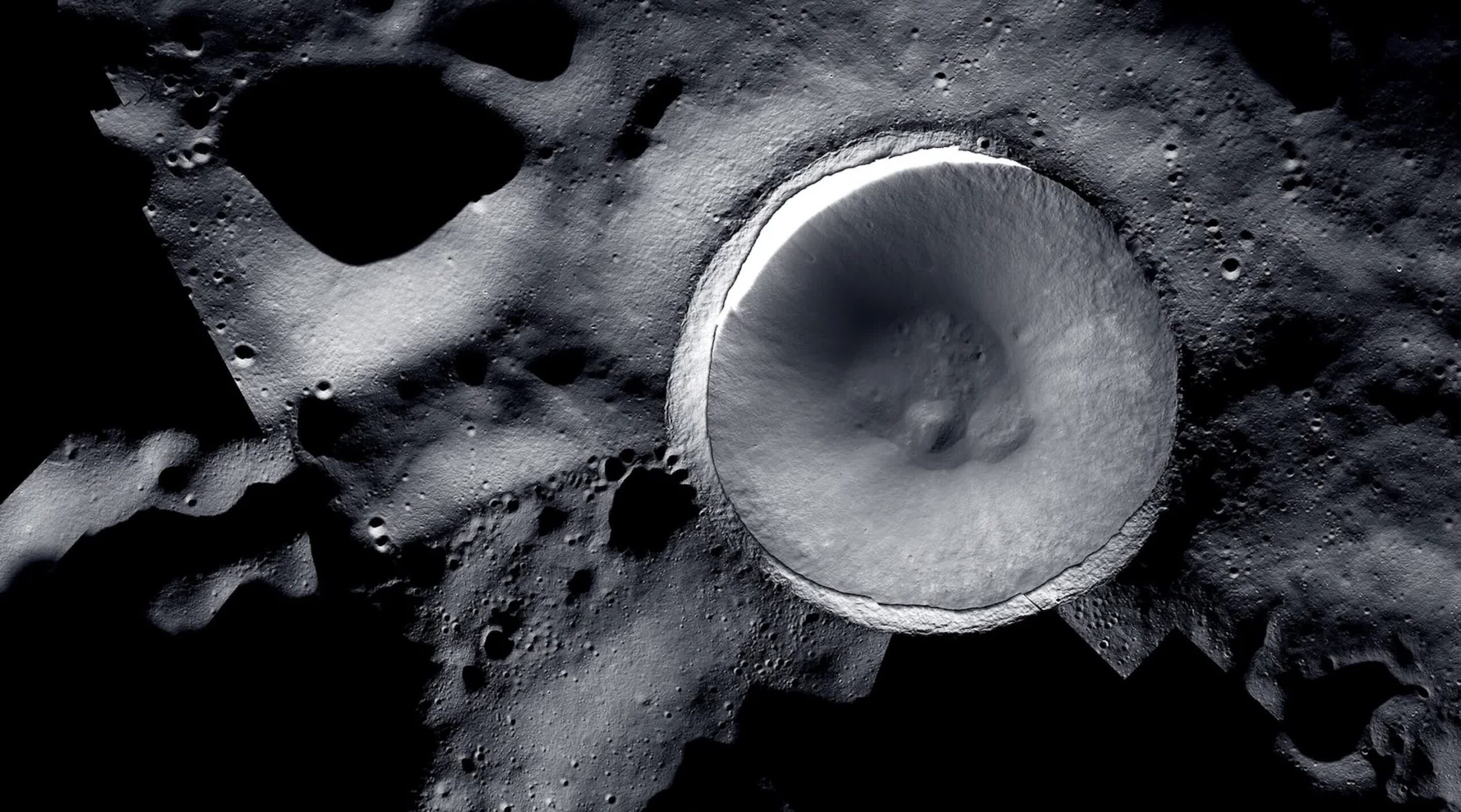NASA study finds Earth fungi could survive up to 7 days near lunar south pole