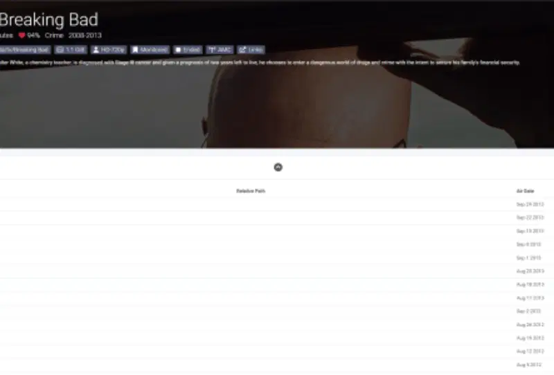 Sonarr web interface running inside a Docker container on a home server